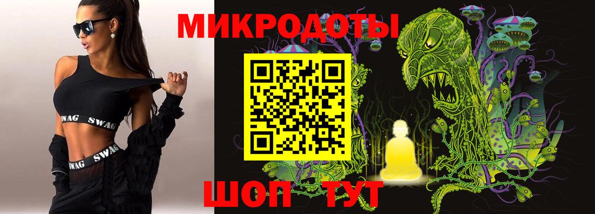 Псилоцибиновые грибы мицелий Люберцы