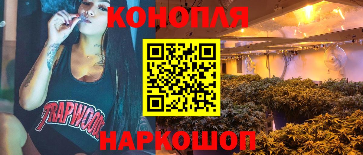 Конопля OG Kush Люберцы